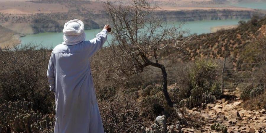 "نمو رهين بسخاء السماء" .. تفسيرات اقتصاديين للتطورات الفصلية بالمغرب