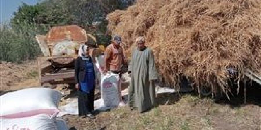 "الزراعة" جمع وتدوير ٨٤٨ ألف طن من قش الأرز في ٦ محافظات حتى الان والدقهلية في الصدارة