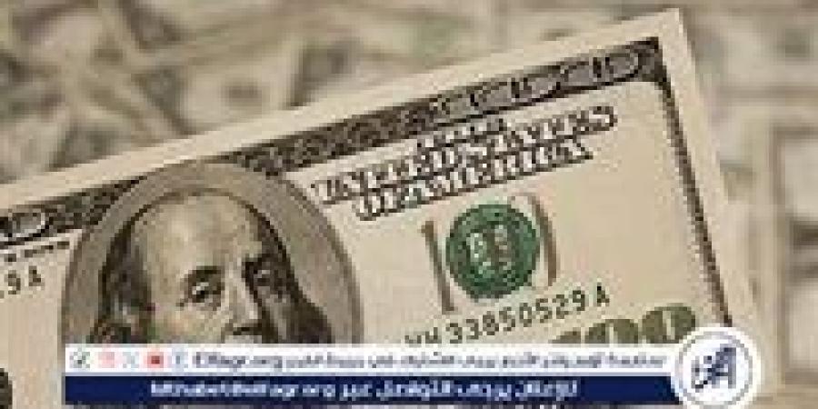 استقرار سعر الدولار مقابل الجنيه المصري اليوم الثلاثاء 8 أكتوبر 2024