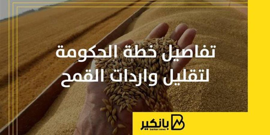 تفاصيل خطة الحكومة لتقليل واردات القمح