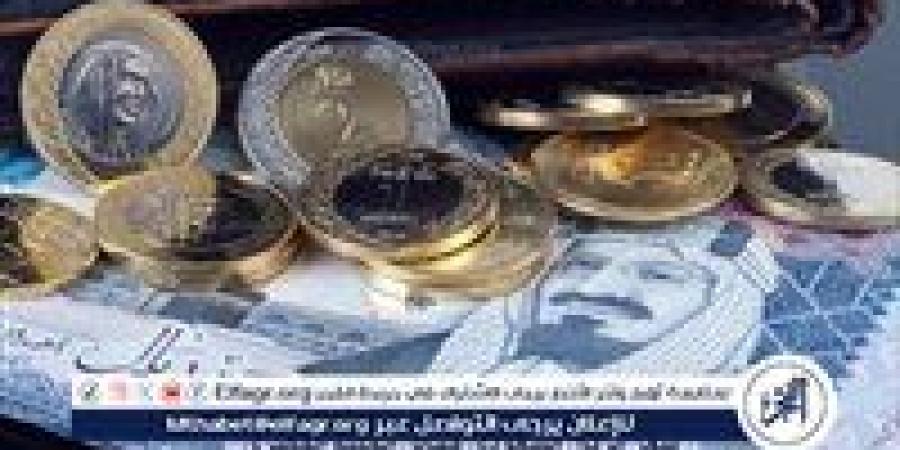 تراجع سعر الريال السعودي أمام الجنيه المصري اليوم الأربعاء 9 أكتوبر