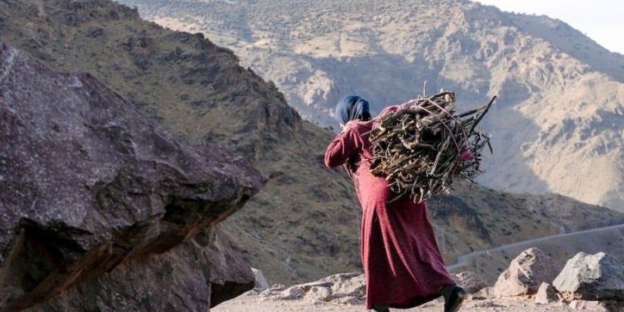 أدوار النساء القرويات في المغرب .. معاناة مضاعفة وجهود تفتقد الاعتراف