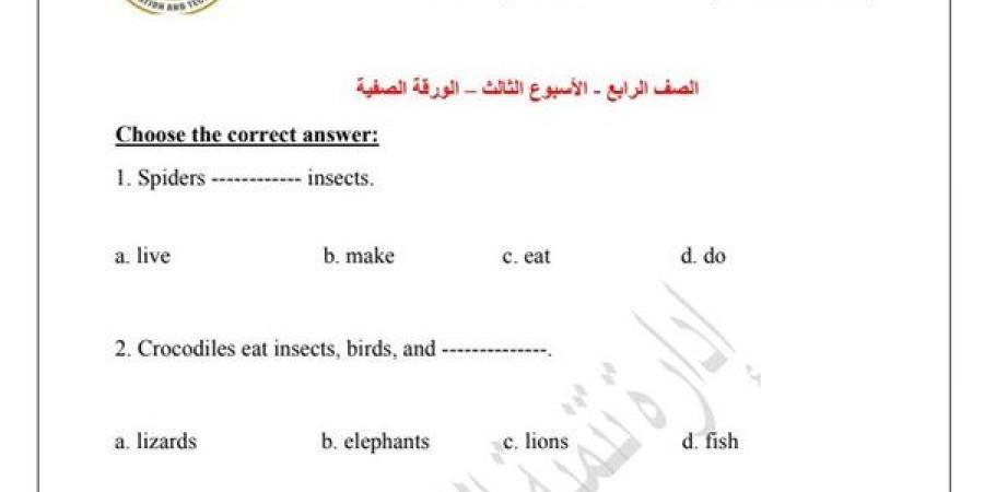 مراجعات نهائية.. اسئلة تقييم الأسبوعين الثالث والرابع لغة انجليزية الصف الرابع الابتدائي