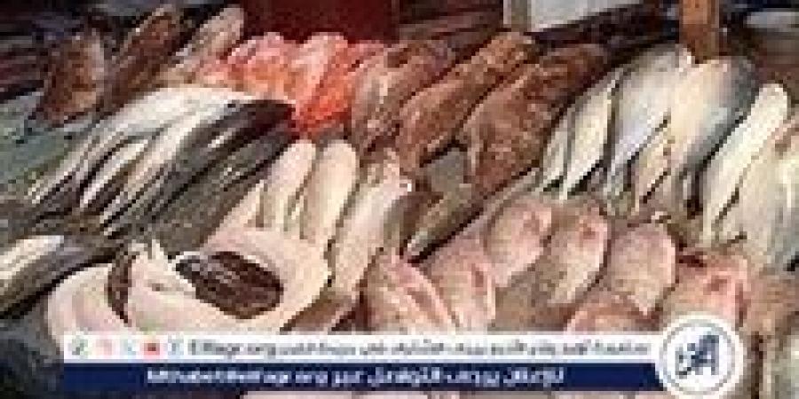 أسعار المأكولات البحرية والجمبري اليوم الجمعة 18-10-2024 في محافظة الدقهلية