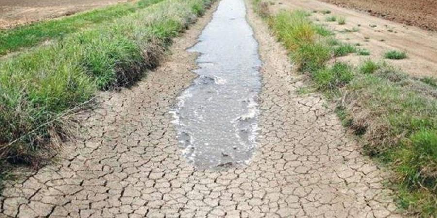 «الجارديان»: أزمة المياه العالمية تعرض نصف إنتاج الغذاء للخطر.. وهي الضحية الأولى لأزمة المناخ والتغيرات البيئية