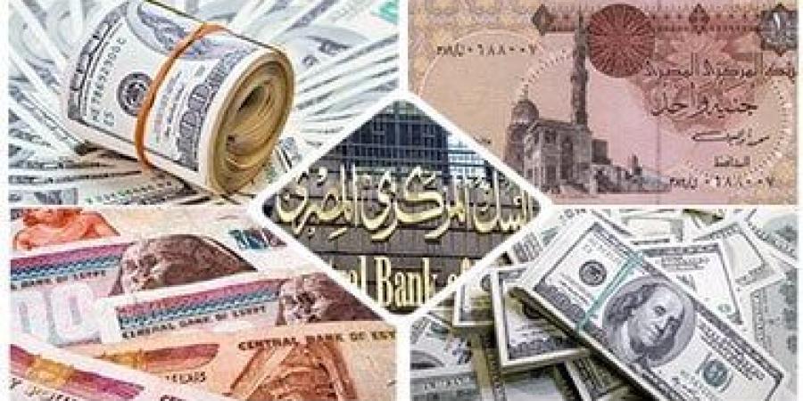 تعرف على أسعار العملات اليوم الجمعة 13-12-2024 أمام الجنيه المصري