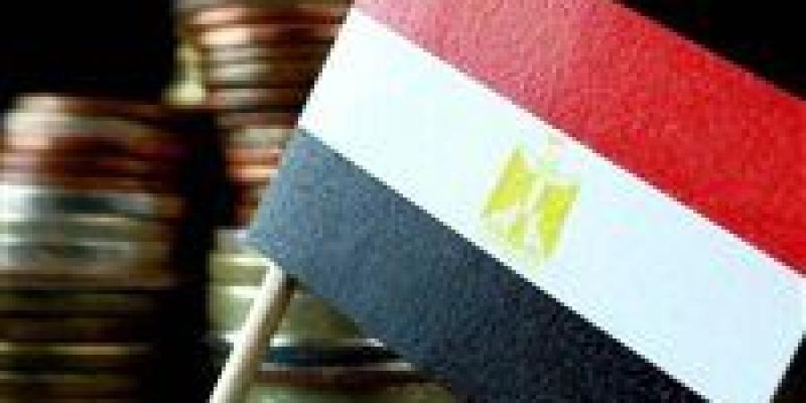 خبير: تنوع الاقتصاد المصري سر قدرته على تجاوز الأزمات