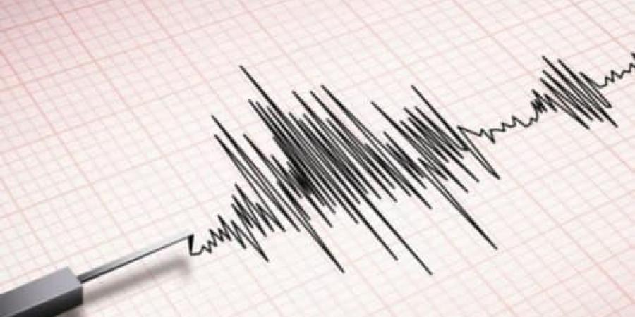 وكالات.. زلزال بقوة 4.8 درجات يضرب جنوب إندونيسيا