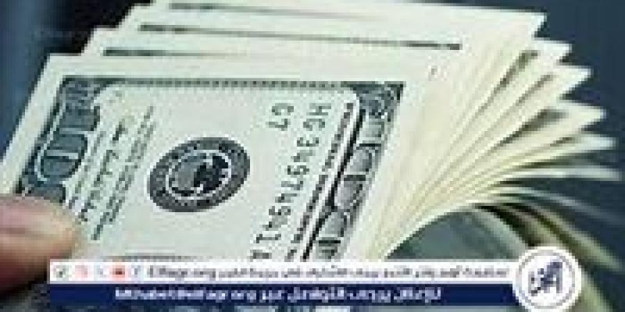 استقرار سعر الدولار مقابل الجنيه المصري اليوم الأحد 15 ديسمبر 2024