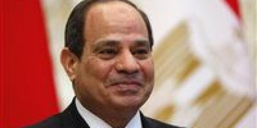 السيسي: بفضل الله واصطفاف المصريين المستمر رغم كل التحديات قادرون على الحفاظ على أمن البلاد