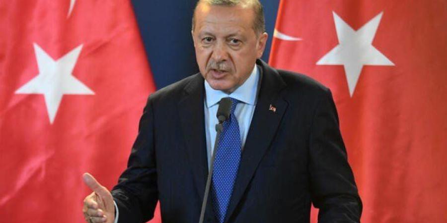 أردوغان: نقف بجانب سوريا لتحقيق الاستقرار وعلينا إخراجها من وحل الإرهابيين