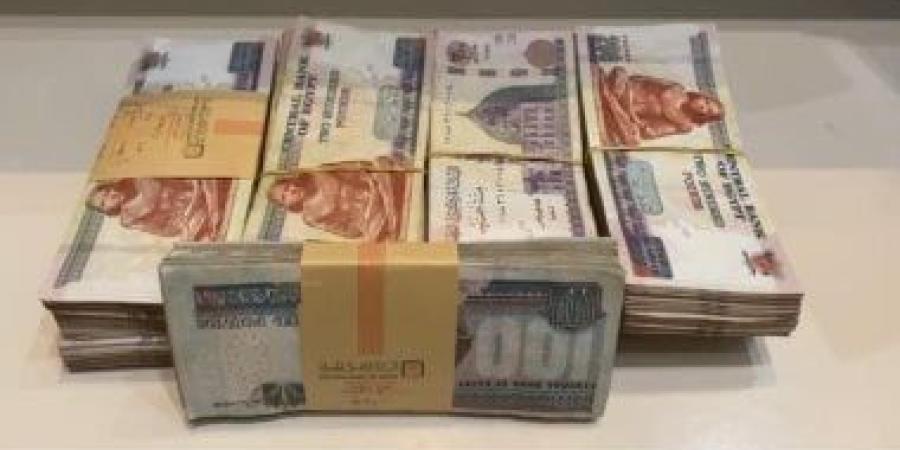 ضبط المتهمين بسرقة مبلغ مالى من سيدة فى بورسعيد