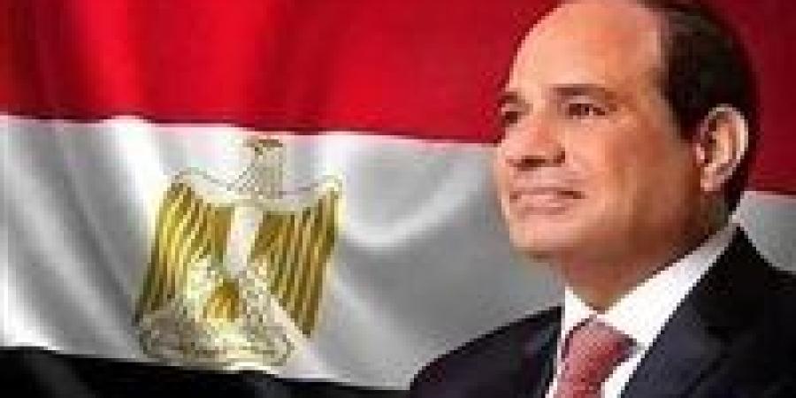 الرئيس السيسي ونظيره الأندونيسي يؤكدان أهمية تعزيز التعاون التجاري والاستثماري المشترك