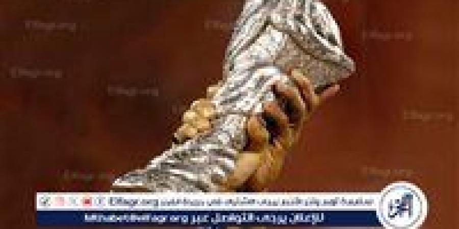 كأس الخليج.. 54 عامًا من المتعة الكروية