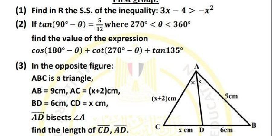 مراجعات نهائية.. أسئلة تقييم الأسبوع الـ 14 الرياضيات Math الصف الأول الثانوي