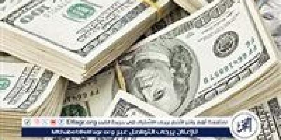 استقرار سعر الدولار مقابل الجنيه المصري اليوم الثلاثاء 24 ديسمبر 2024 بعد تجاوزه 51 جنيهًا