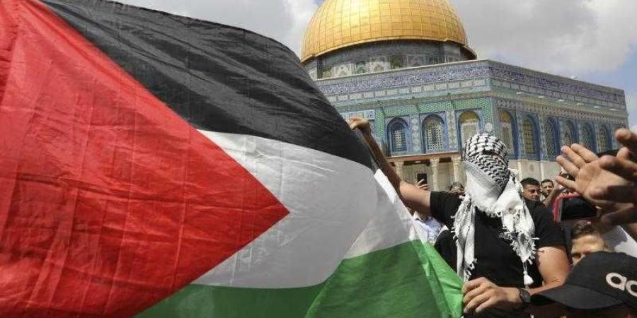 برلماني يكشف دور الأحزاب المصرية لدعم القضية الفلسطينية