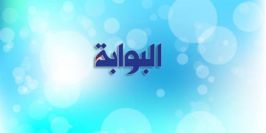 شجرة عيد الميلاد واختبار الإرهاب