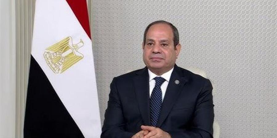 الرئيس السيسي يوجه استمرار العمل على إنهاء مشروعات تطوير قناة السويس