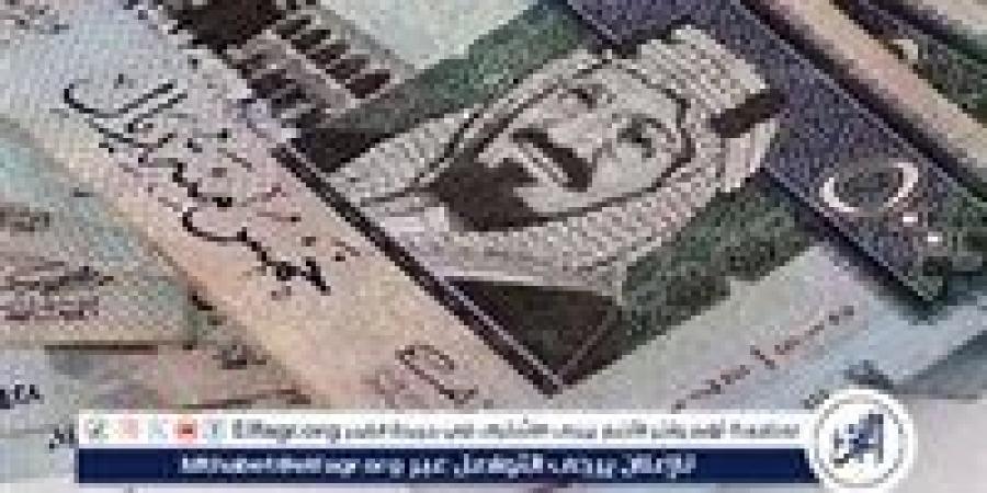 سعر الريال السعودي اليوم الأحد 29 ديسمبر 2024: استقرار بعد الانخفاض الأخير