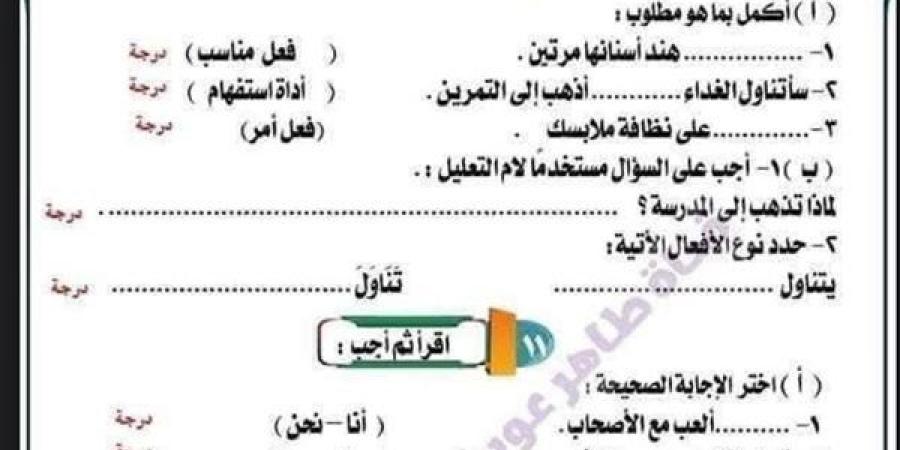 مراجعات نهائية.. ملخص النحو في 7 ورقات بالاجابات لـ الصف الثالث الابتدائي