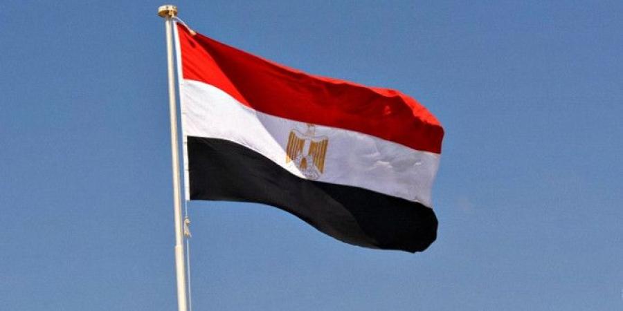 مصر ترحب بانضمام إندونيسيا لدول البريكس