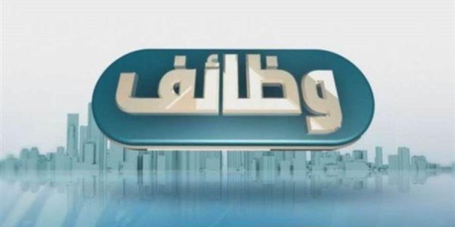 عاجل.. بمرتبات تبدأ من 6 آلاف جنيه.. وزارة العمل توفر 260 وظيفة جديدة للشباب