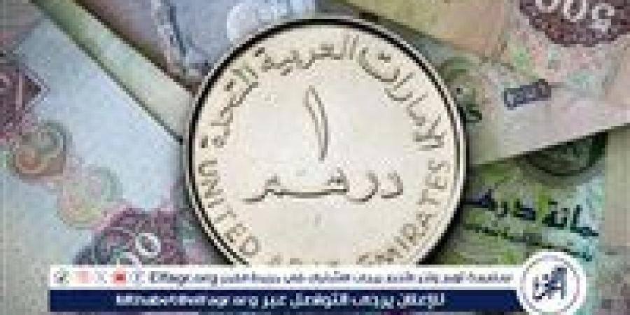 سعر الدرهم الاماراتي والعملات العربية أمام الجنيه المصري في تعاملات اليوم الإثنين 13-1-2025