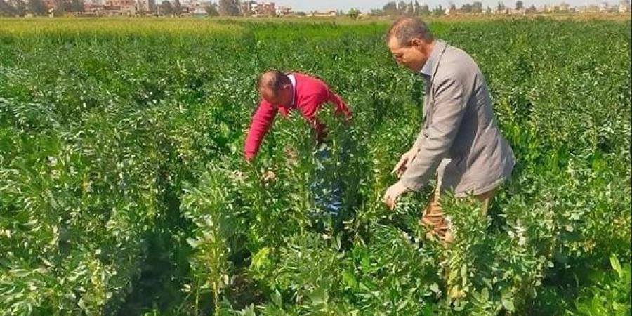 غدًا.. "النواب" يناقش خطة الزراعة نحو تحقيق الاكتفاء الذاتي من المحاصيل الأساسية