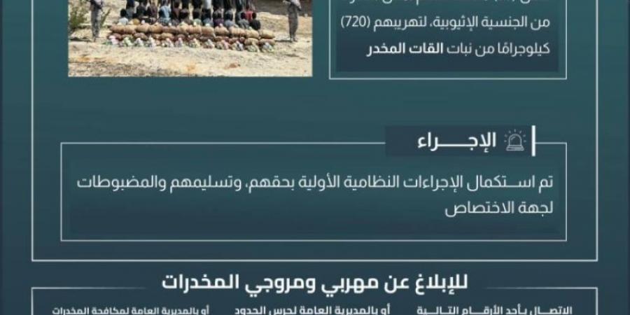 القبض على (36) مخالفًا لتهريبهم (720) كجم من القات بـالربوعة