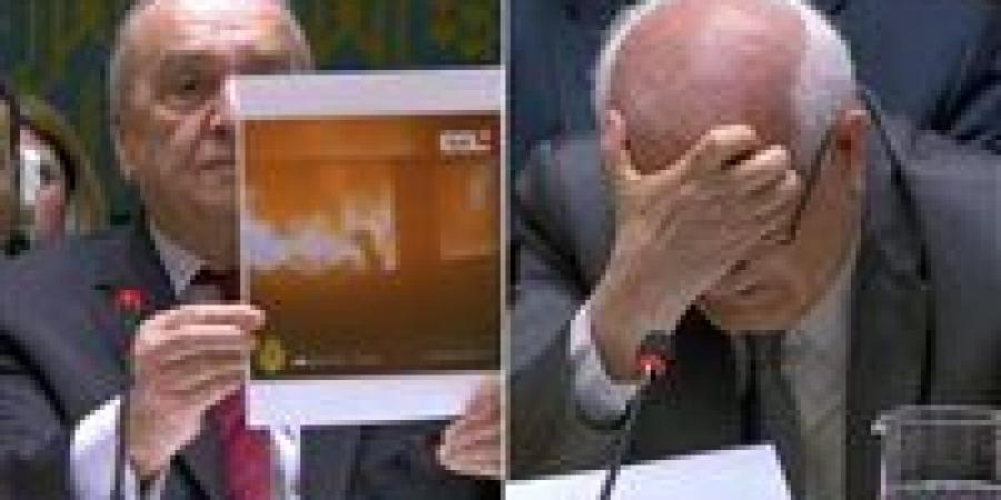 المصري الديمقراطي يشيد بالدعوات الأوروبية لمنح فلسطين عضوية كاملة بالأمم المتحدة