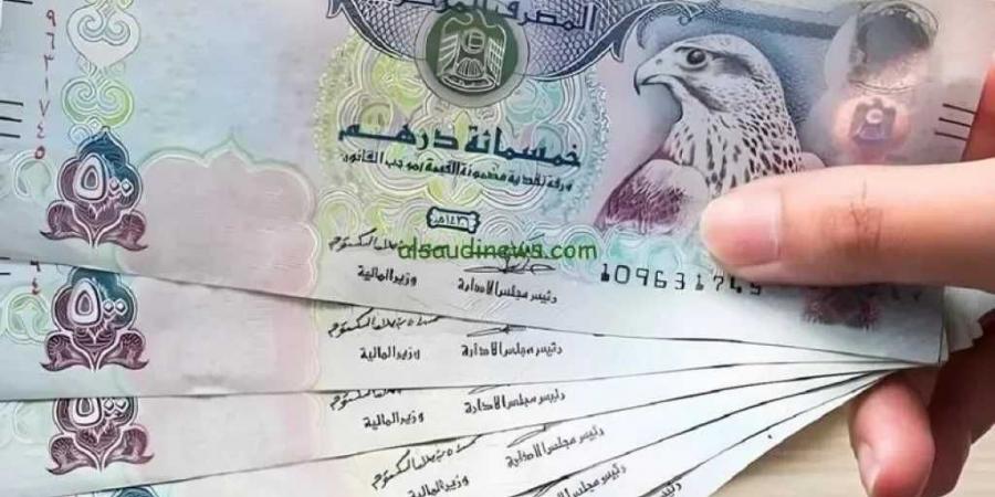 سعر الدرهم الإماراتي اليوم السبت 31 مايو 2025 مقابل الجنيه المصري.. استقرار في البنوك المصرية
