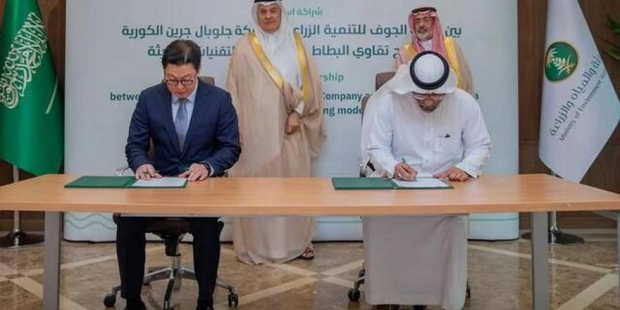 توقيع اتفاقية لتوطين إنتاج تقاوي البطاطس في السعودية