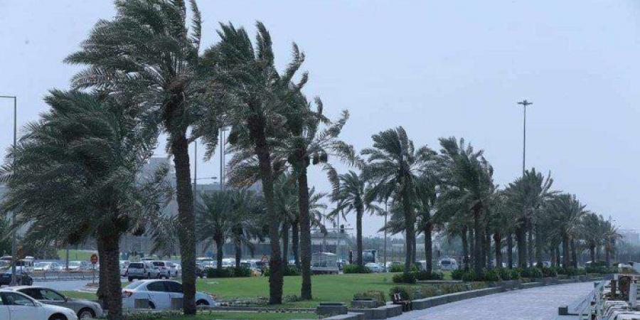 طقس قطر اليوم السبت.. الأرصاد الجوية تحذر من رياح قوية على الساحل وفي عرض البحر
