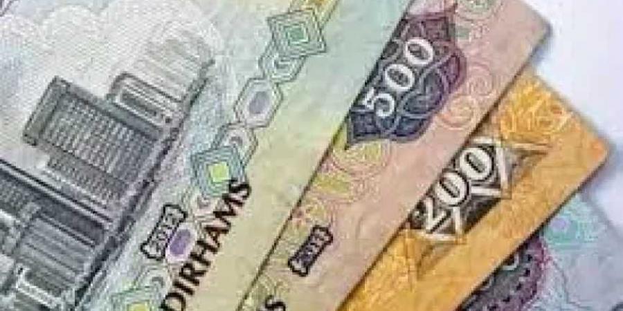 أسعار الدرهم الإماراتي مقابل الجنيه المصري اليوم السبت 31 مايو 2025