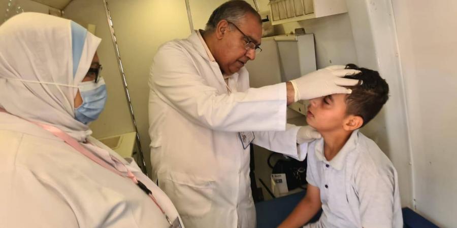 الكشف على ٥٨٩ بقافلة قرية ١٩ لحوم بالنوبارية