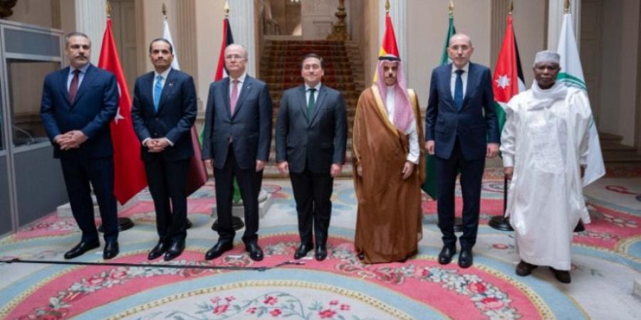 اللجنة الوزارية العربية الإسلامية بشأن غزة تعقد اجتماعًا في عمّان