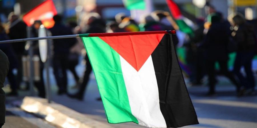 الجامعة العربية لـ "المملكة": خارطة عمل واضحة لمؤتمر حل الدولتين في نيويورك