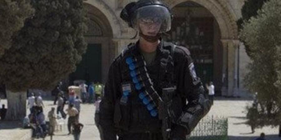 مستوطنون يقتحمون باحات المسجد الأقصى بحماية قوات الاحتلال
