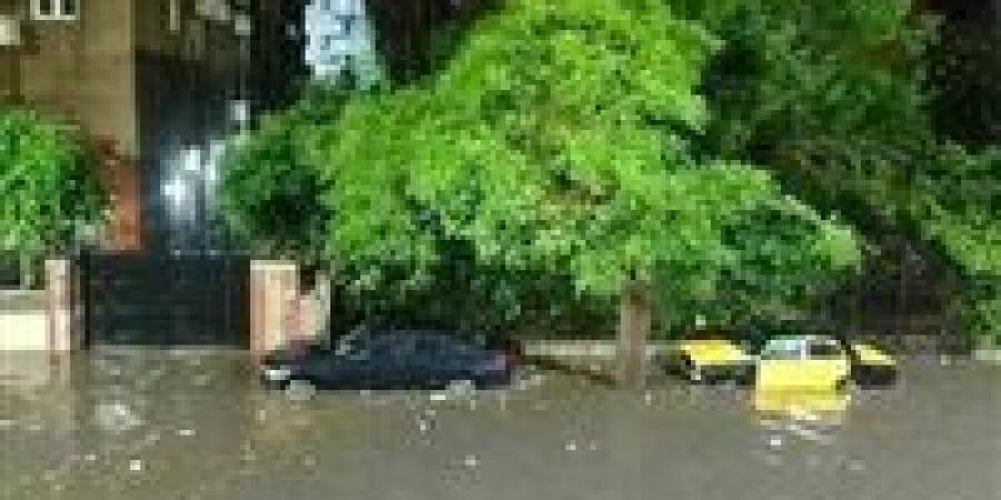 مدير شبكة الصرف: الإسكندرية أنقذت نتيجة تحرك الأجهزة سريعا