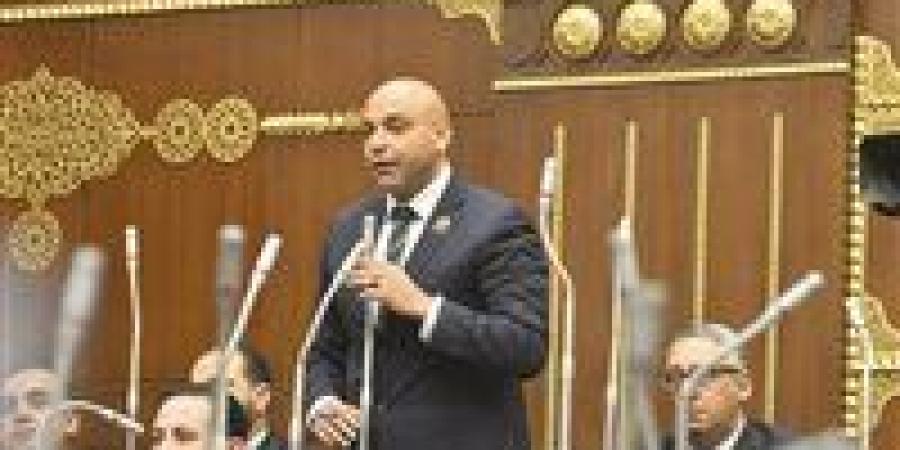 النائب محمود القط يستعرض طلبه بشأن خط وزارة البيئة المتعلقة بتداعيات التغيرات المناخية والتخفيف من مخاطرها في المناطق الساحلية