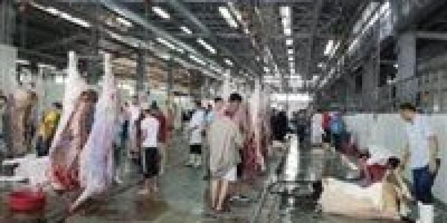 محافظ القليوبية: إلغاء جميع الإجازات لكافة العاملين في مديرية الطب البيطري والمجازر طوال فترة عيد الأضحى المبارك