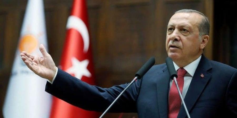 أردوغان: تركيا ستتخذ خطوات لترتيب لقاء بين بوتين وزيلينسكي