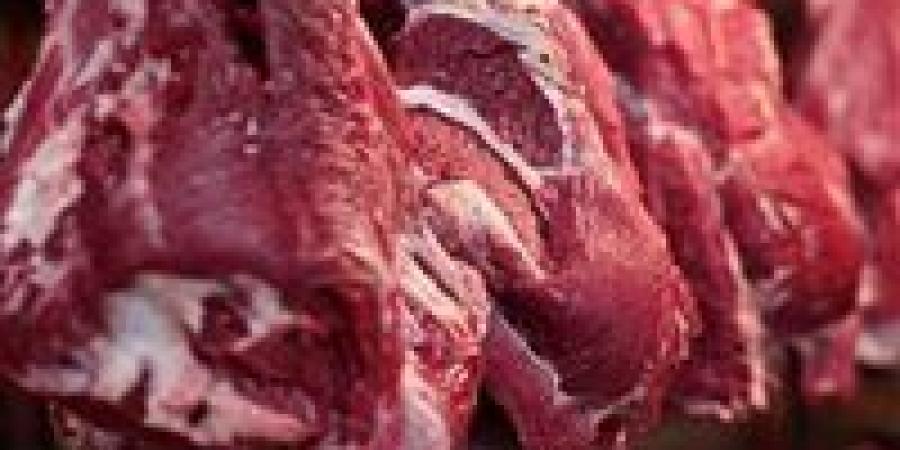 رئيس الوزراء يتابع إجراءات زيادة حجم المعروض من اللحوم الحمراء في الأسواق
