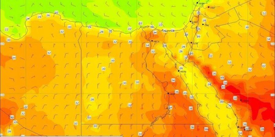 أجواء حارة.. الأرصاد تكشف حالة الطقس في مصر اليوم الأربعاء 4 يونيو 2025