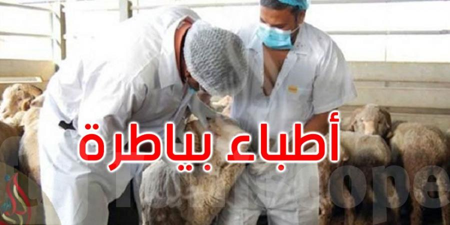 عاجل-أرقام الأطباء البيطريين في خدمة التونسيين في عيد الأضحى... تعرّف عليها