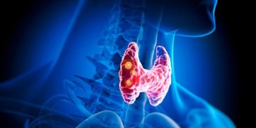 طرق طبيعية لدعم الغدة الدرقية وتحسين وظائفها
