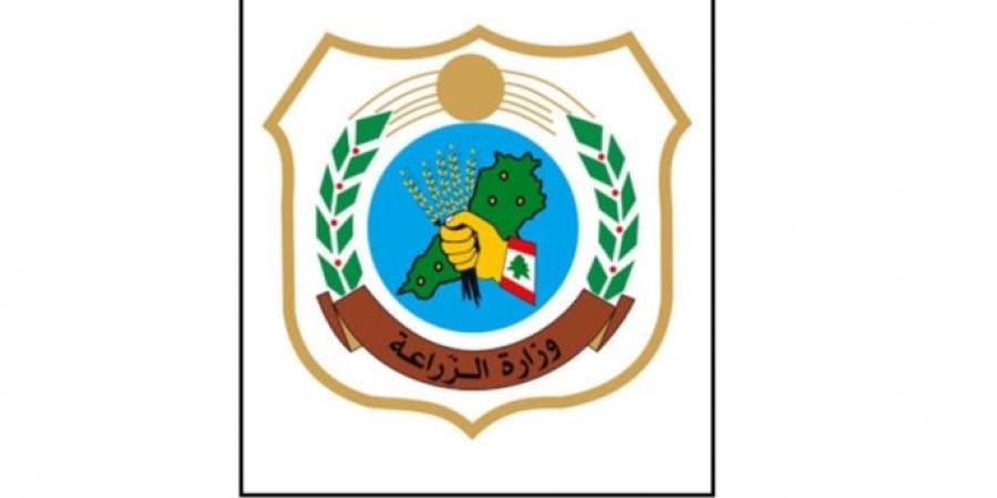 وزارة الزراعة: ضبط مخالفة حرجية في جرد حربتا - بعلبك ومصادرة كمية من حطب اللزاب
