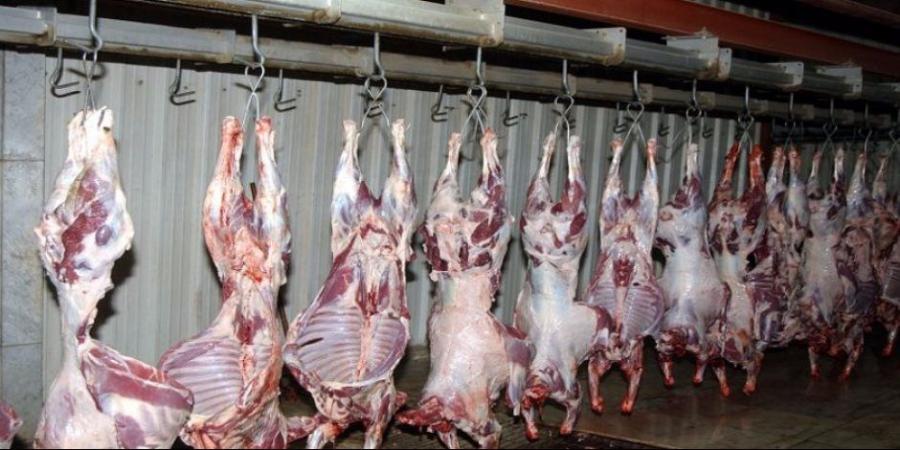 مجازر القاهرة تفتح أبوابها مجانا لذبح الأضاحي طوال أيام العيد