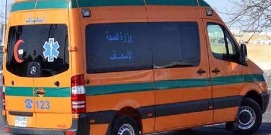اصابة عامل بحروق نتيجة صعق كهربائي بمزرعة دواجن بالدقهلية
